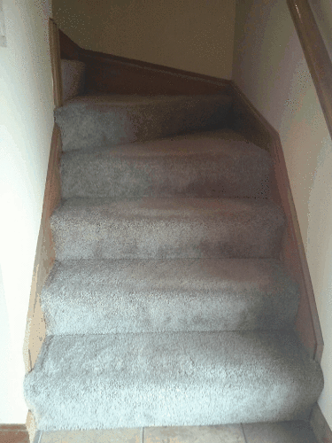 Stairway Wiggle GIF