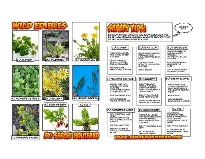 Print this ebook, laminate it, and take it with you on your next outdoor outing!