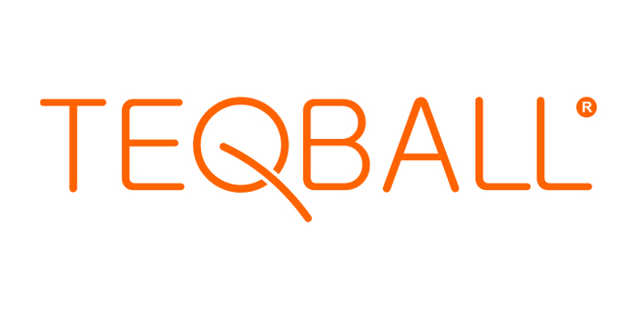 Teqball Official Logo