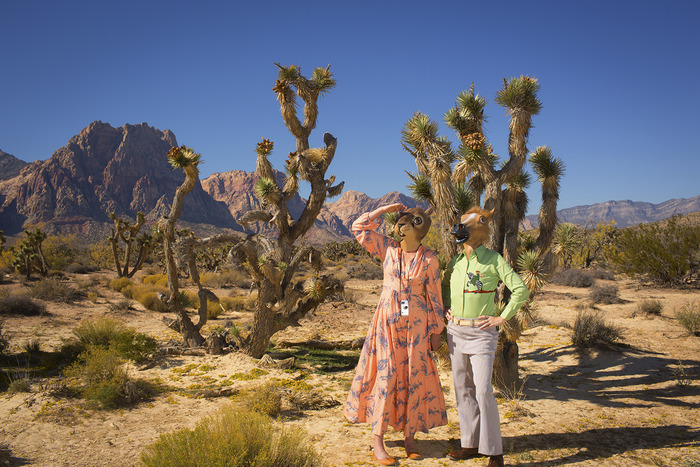 Polyester Desert- ink jet archival print ( Pledge $100.00 or more)