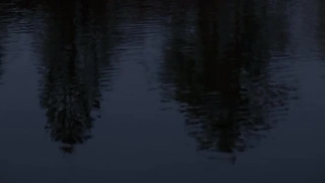 project video thumbnail