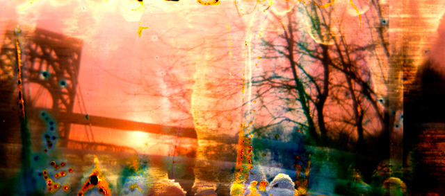 Film Treated with Lemon Juice