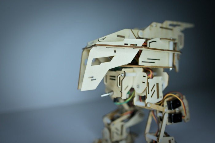 Rex Details