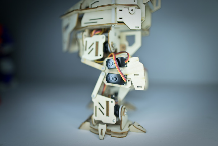 Rex Details