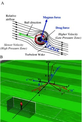 Aerodynamics of a curl