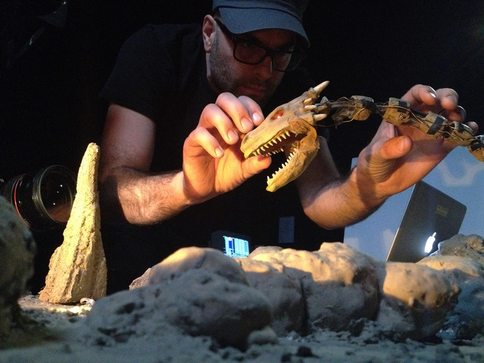 Training the Dragon