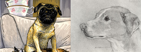 Pet portraits by Jonathon Dalton and Eric Johnson