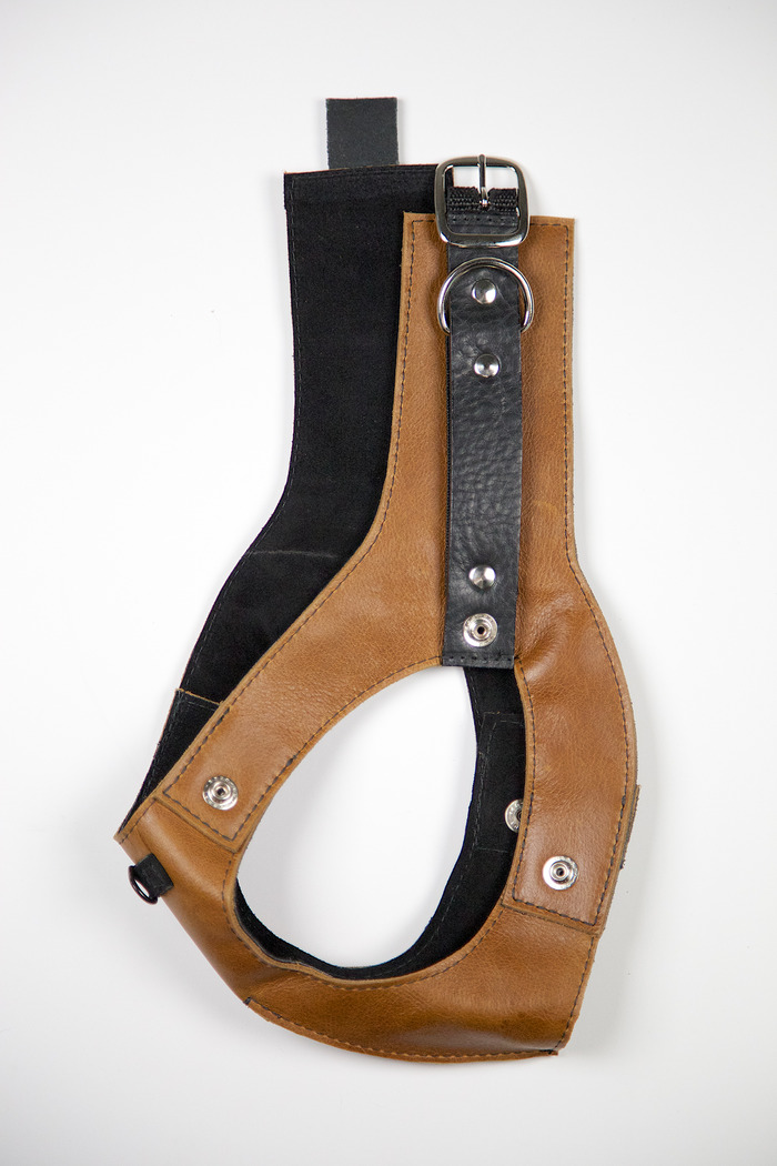 Deetach harness. All leather construction, inside is lined with suede.