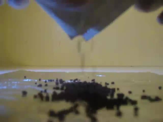 project video thumbnail