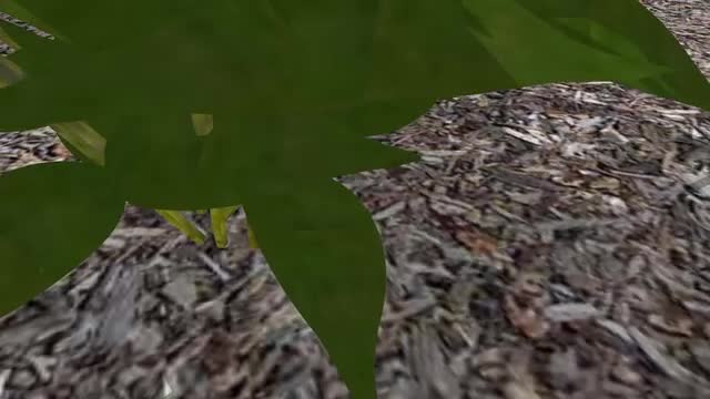  project video thumbnail