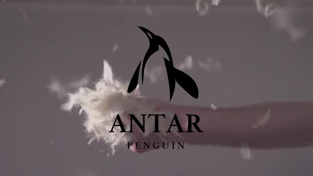project video thumbnail