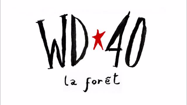Miniature de la vidéo du projet