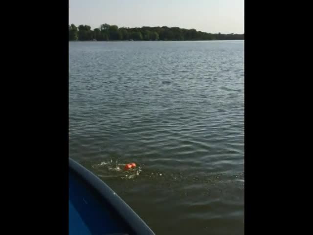 ProBuoy - THE ONLY BUOY THAT IS THERE TO MARK FISH FAST ..