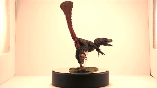 project video thumbnail