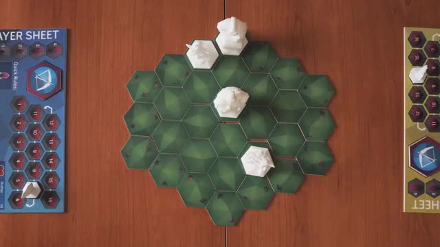 project video thumbnail