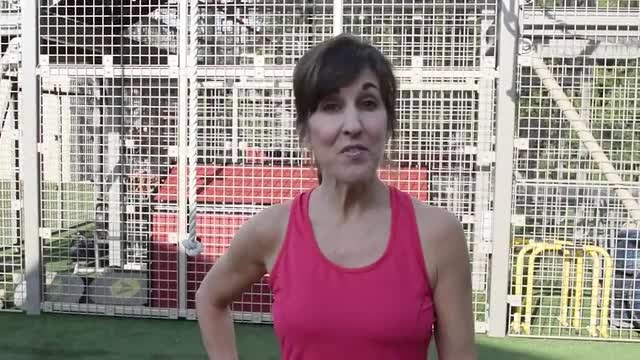 Miniature de la vidéo du projet 