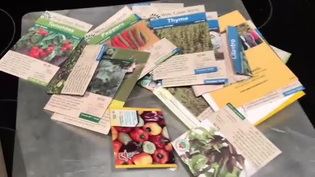 Miniature de la vidéo du projet 