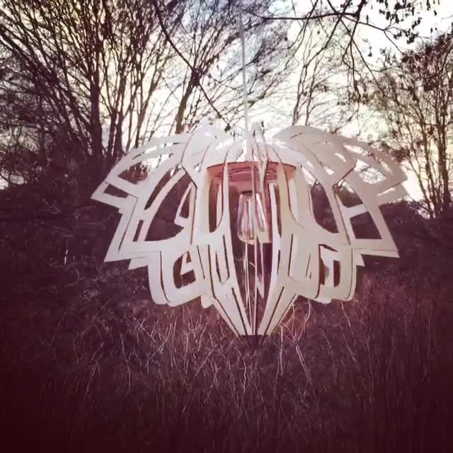 project video thumbnail