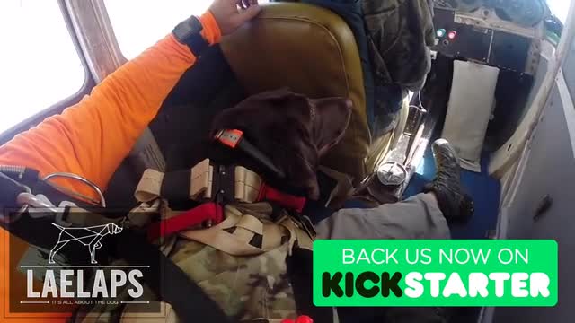 laelaps tracking system