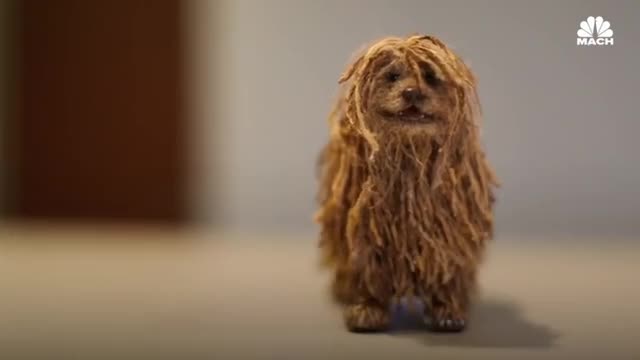 Miniature de la vidéo du projet 