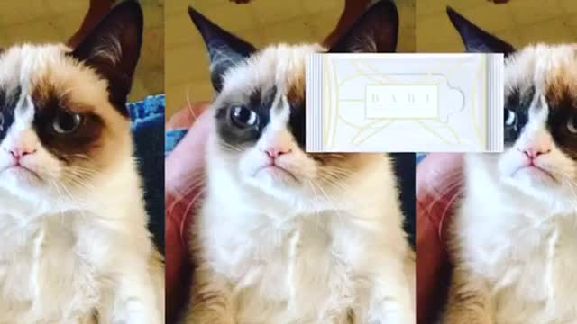  miniatura de video del proyecto