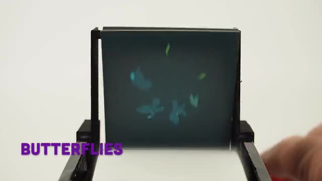 project video thumbnail