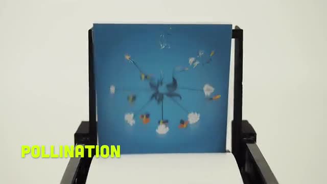 project video thumbnail