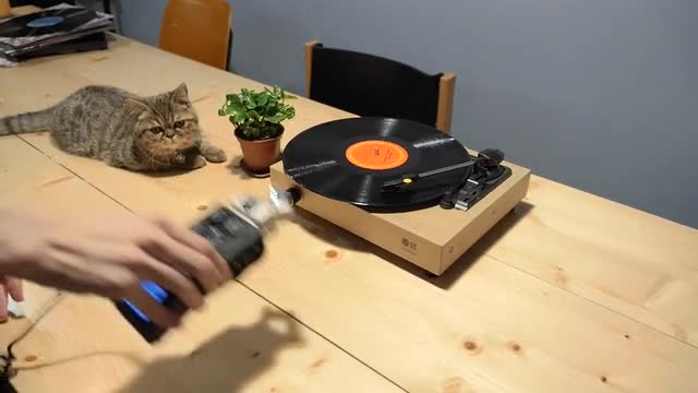 project video thumbnail