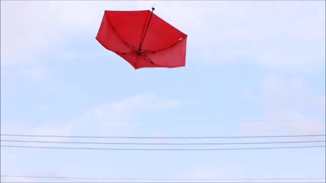 project video thumbnail