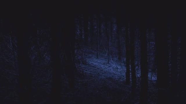 project video thumbnail