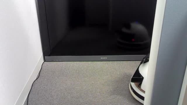project video thumbnail