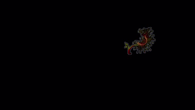 project video thumbnail