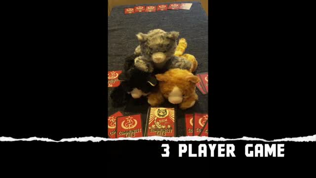 project video thumbnail