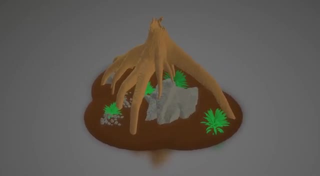 project video thumbnail