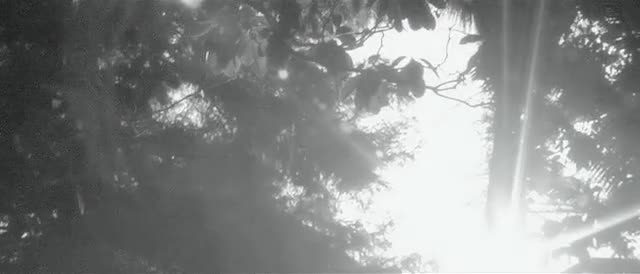 project video thumbnail