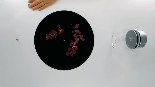 project video thumbnail