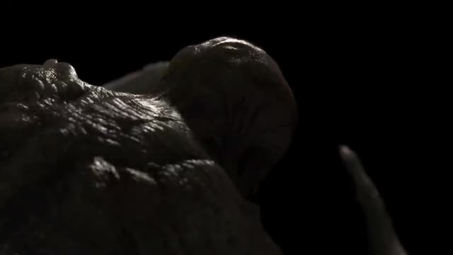 project video thumbnail