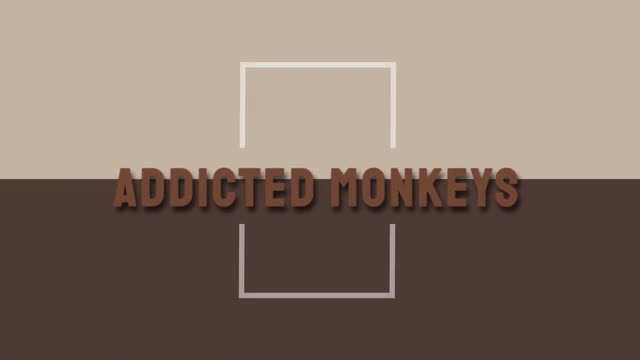 project video thumbnail
