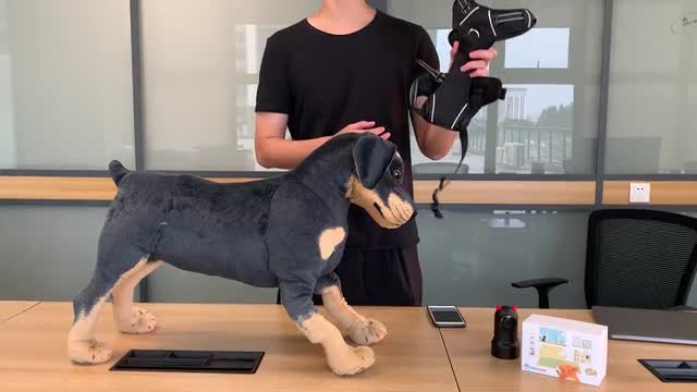 project video thumbnail