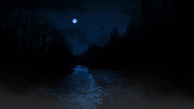 project video thumbnail