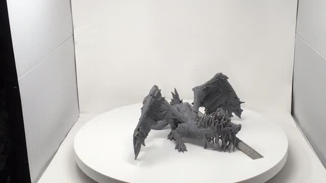 project video thumbnail