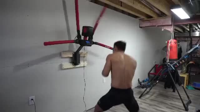 In-Home MMA Striking & Agility Trainer: The RXT-1 Robot by