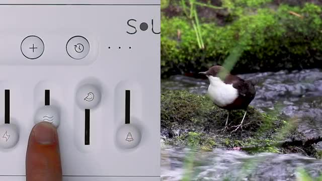 project video thumbnail