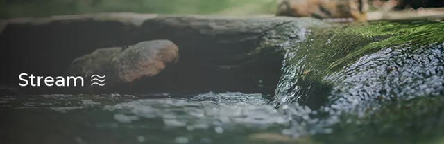 project video thumbnail