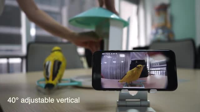  project video thumbnail