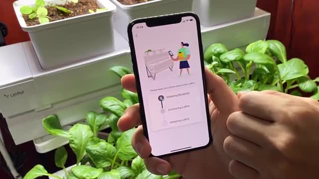  project video thumbnail
