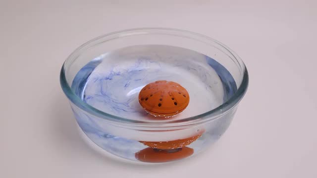  project video thumbnail