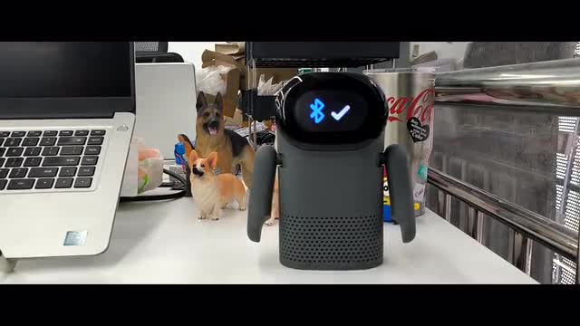  project video thumbnail