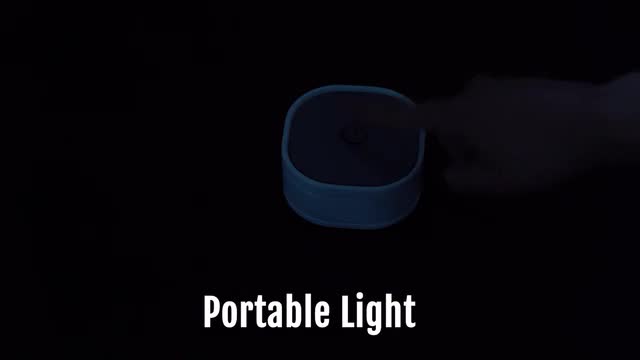 project video thumbnail