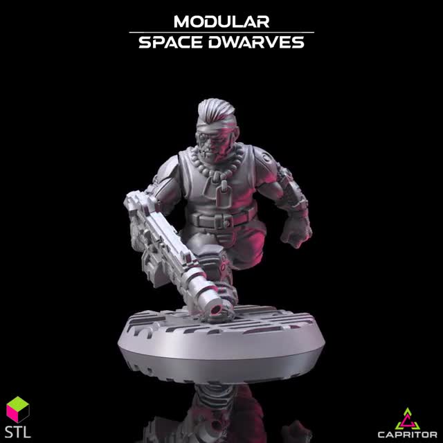 Modular Space Dwarves: Over 100 Parts Endless Possibilities